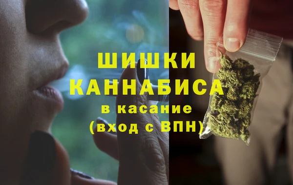 прущие крисы Новодвинск