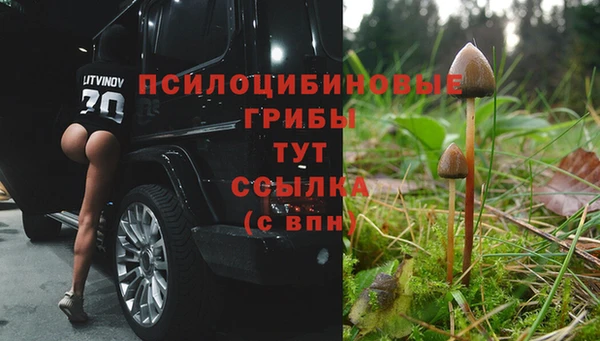 соль курить ск Верхний Тагил